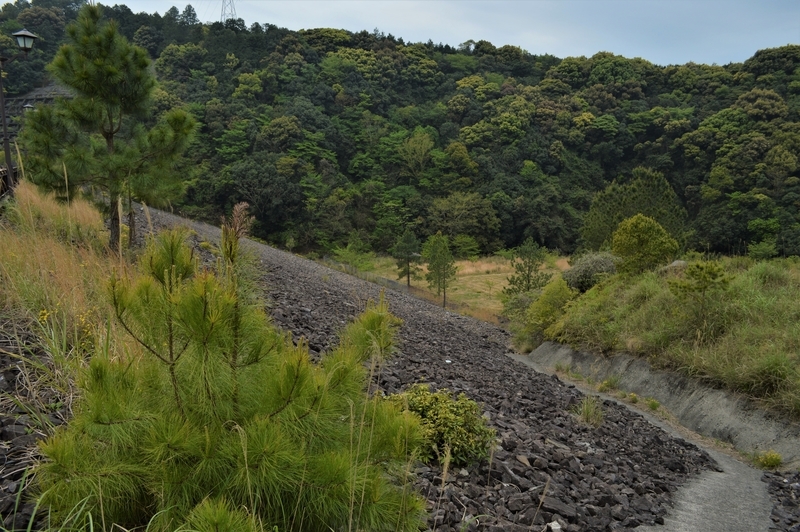 f:id:kazu_ma634:20200905220114j:image:w400