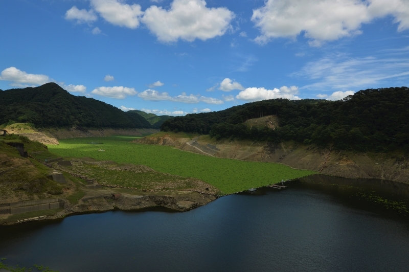 f:id:kazu_ma634:20201124210140j:image:w400