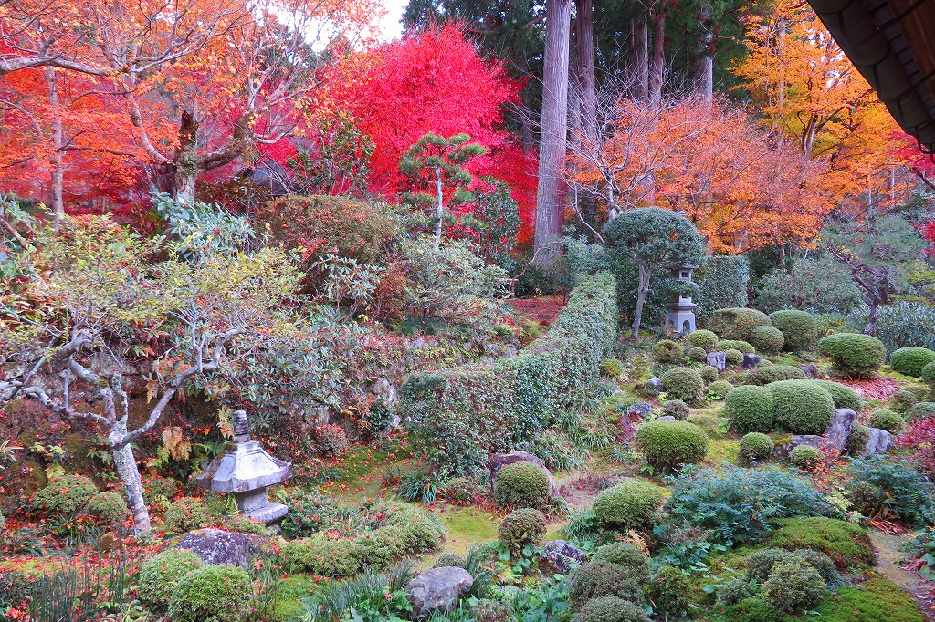 三千院　聚碧園