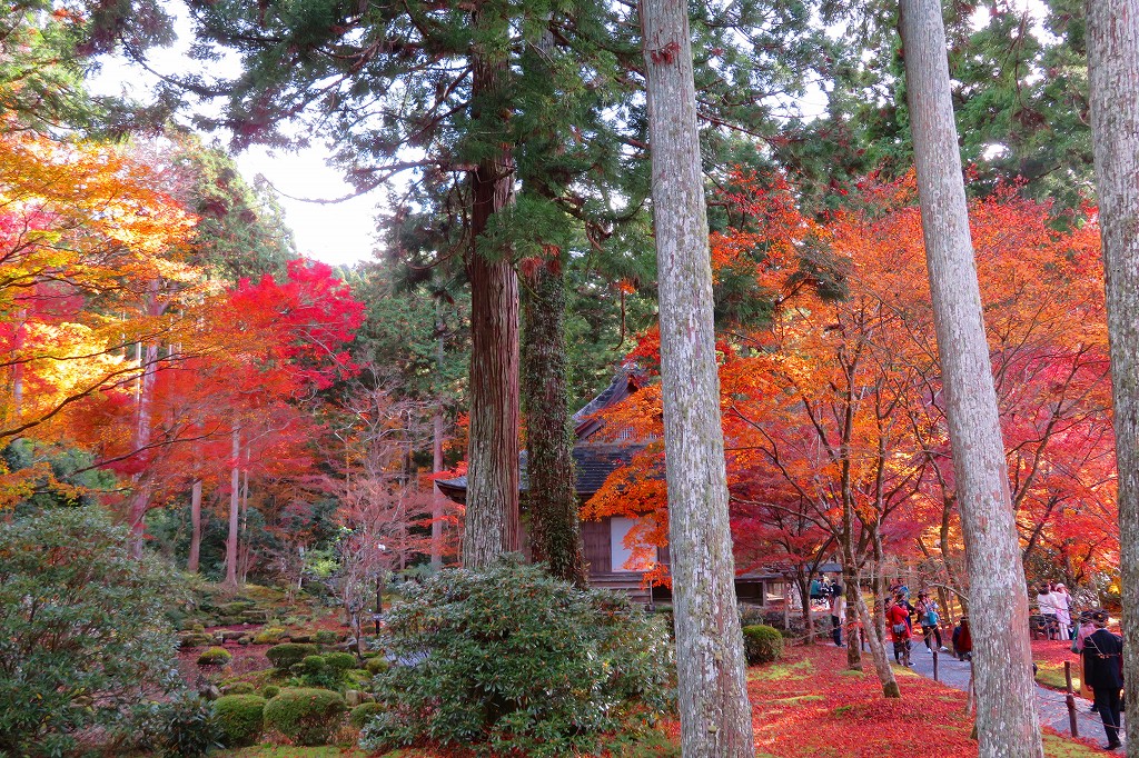 三千院　有清園