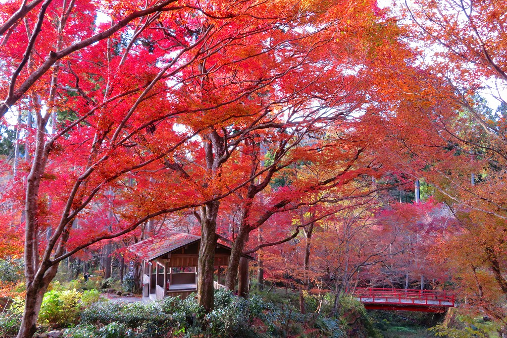 三千院