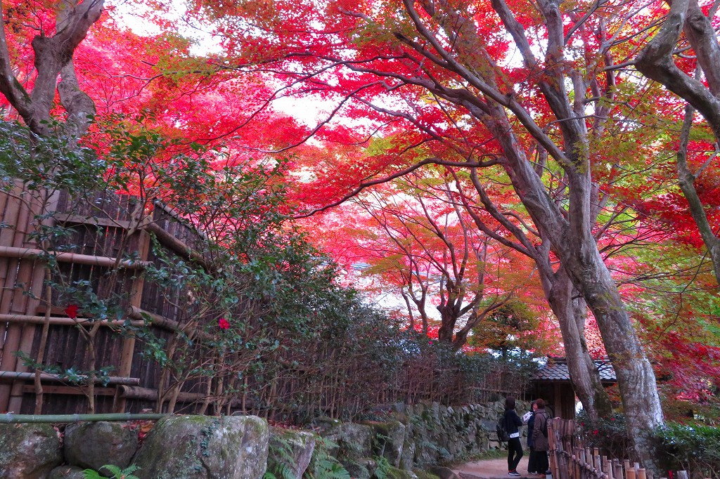 教林坊　滋賀県安土町　2019.11.26