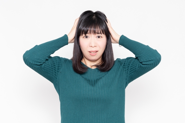 f:id:kazu_poko:20210106033459j:plain
