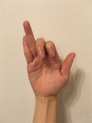 片鼻呼吸 ナーディ ショーダナをやってみよう No Plan