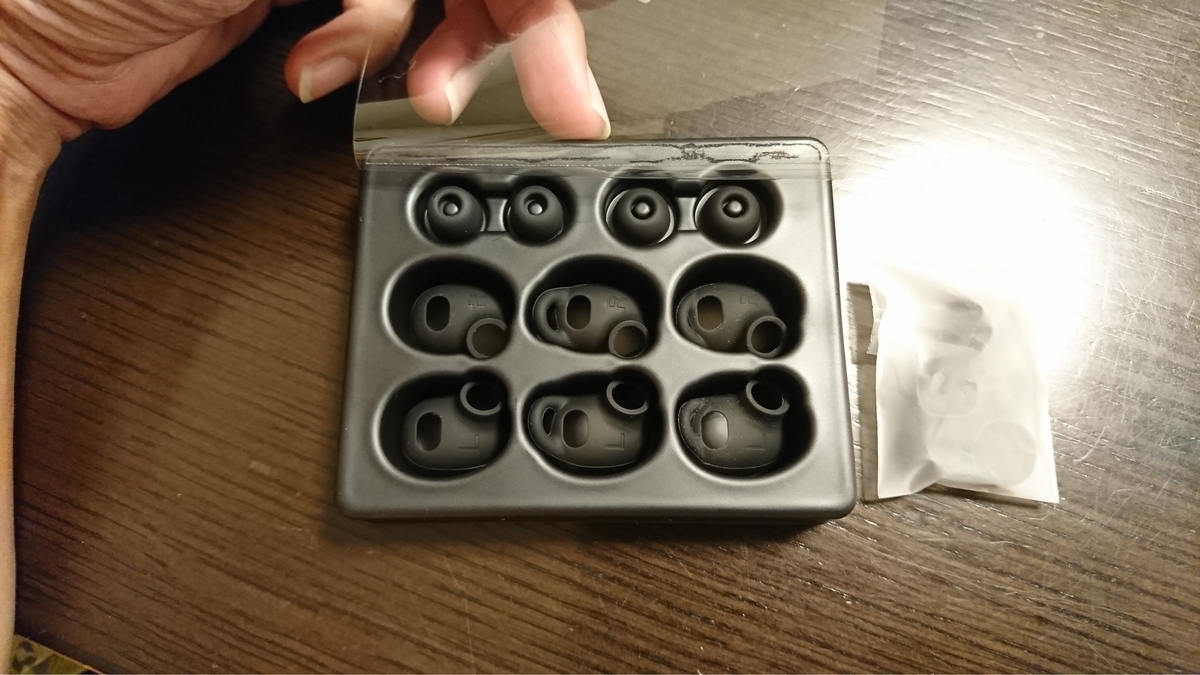 Anker ZOLO Liberty+ イヤーチップ