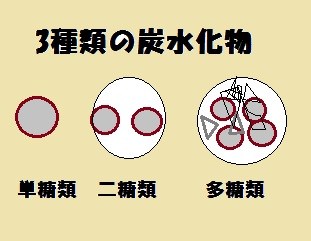f:id:kazueiblog:20170226072550j:plain f:id:kazueiblog:20170226072550j:plain