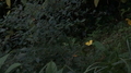 20241112150850