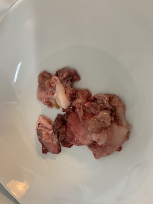 f:id:kazuhi_ra:20190814230815j:plain
