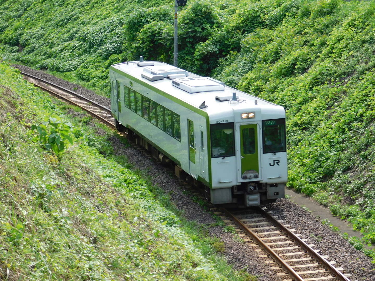 緑の中を単行で走る八高線 - kazuhiko19680908's blog