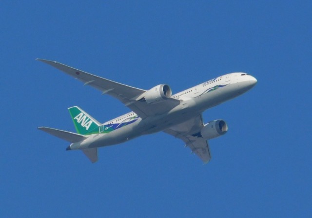 JA01AN / JA874A あさひろ JA01AN / JA874A あさひろ Amazon.co.jp: ANA Green Jet Boeing 787-8