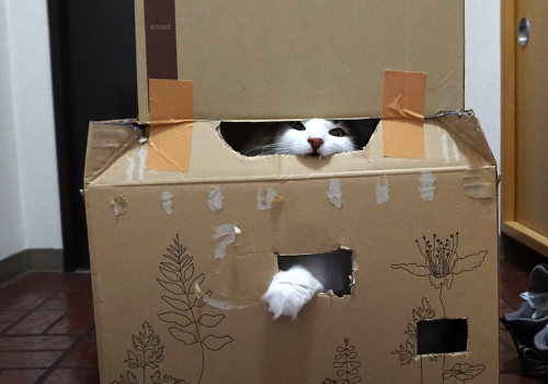 f:id:kazuhiro0214:20181109094347j:plain