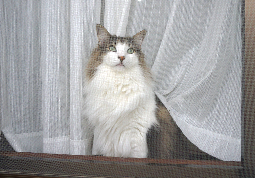 f:id:kazuhiro0214:20181122102727j:plain f:id:kazuhiro0214:20181122102727j:plain