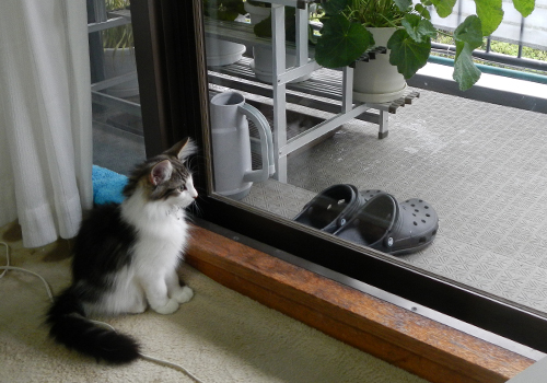 f:id:kazuhiro0214:20181122102751j:plain f:id:kazuhiro0214:20181122102751j:plain