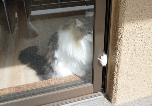 f:id:kazuhiro0214:20181122102809j:plain f:id:kazuhiro0214:20181122102809j:plain