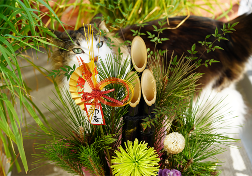 f:id:kazuhiro0214:20190119164906p:plain f:id:kazuhiro0214:20190119164906p:plain