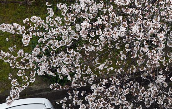 f:id:kazuhiro0214:20190330180335p:plain