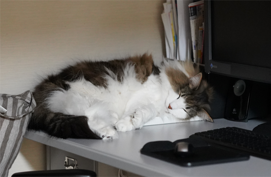 f:id:kazuhiro0214:20190515085724p:plain