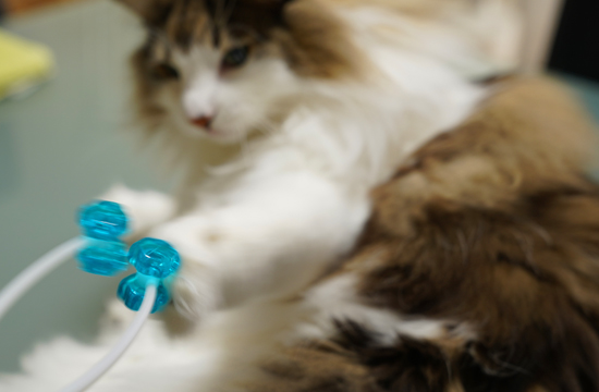 f:id:kazuhiro0214:20190523122641j:plain