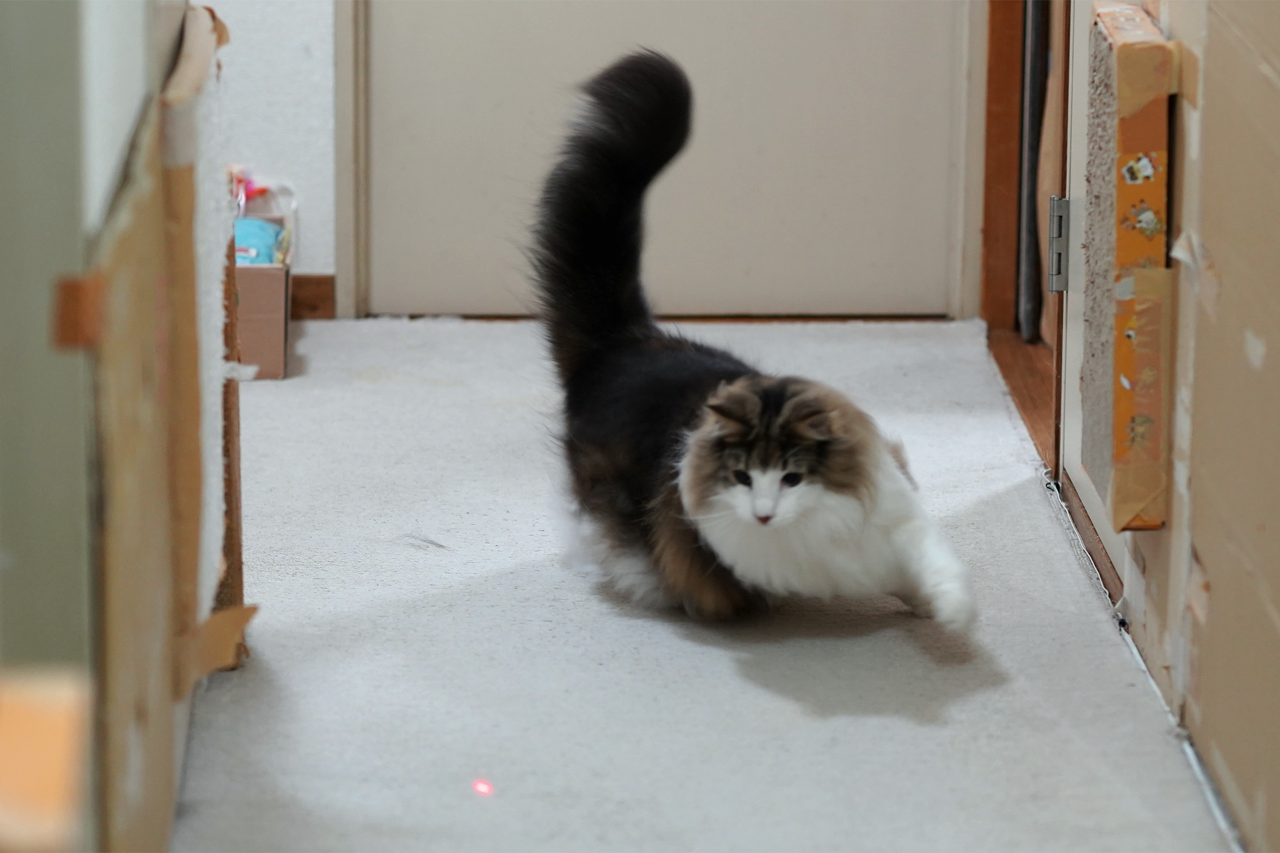 f:id:kazuhiro0214:20190712084429p:plain