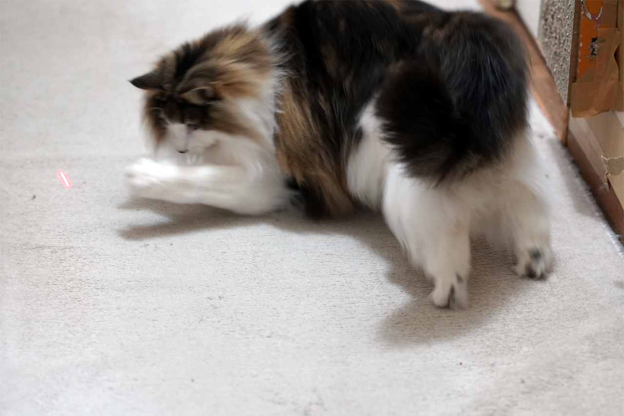 f:id:kazuhiro0214:20190712084453p:plain