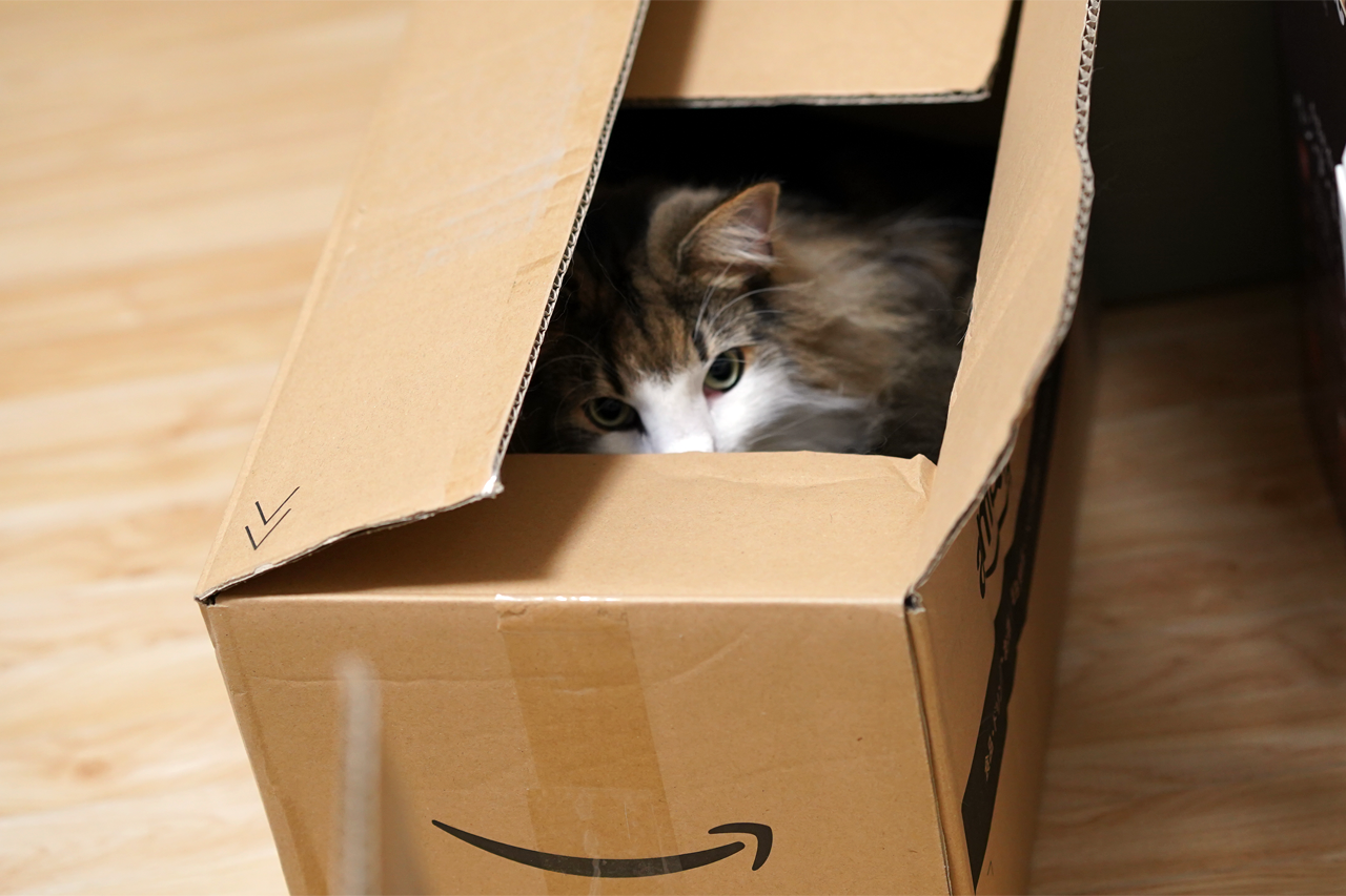 f:id:kazuhiro0214:20190725084149p:plain f:id:kazuhiro0214:20190725084149p:plain