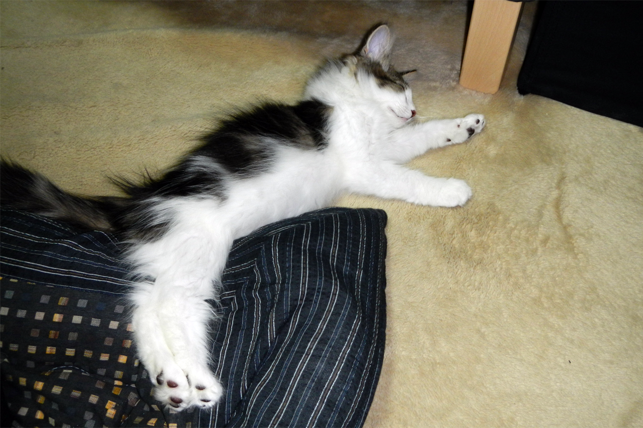 f:id:kazuhiro0214:20190803093730p:plain