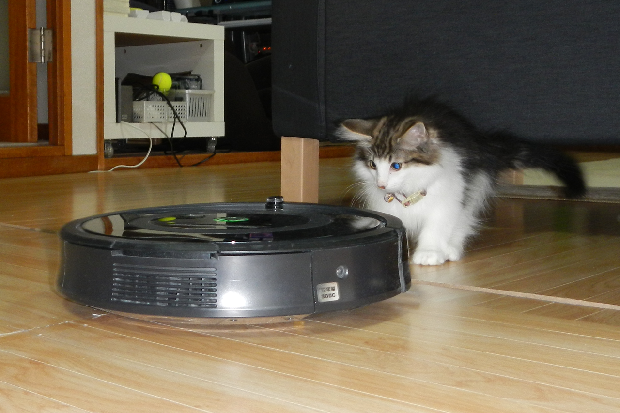 f:id:kazuhiro0214:20190803093948p:plain