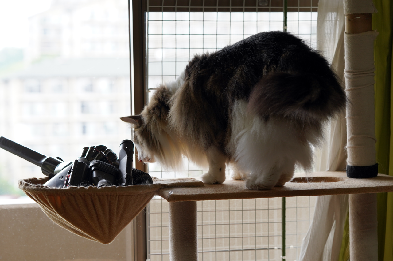 f:id:kazuhiro0214:20190905081446p:plain