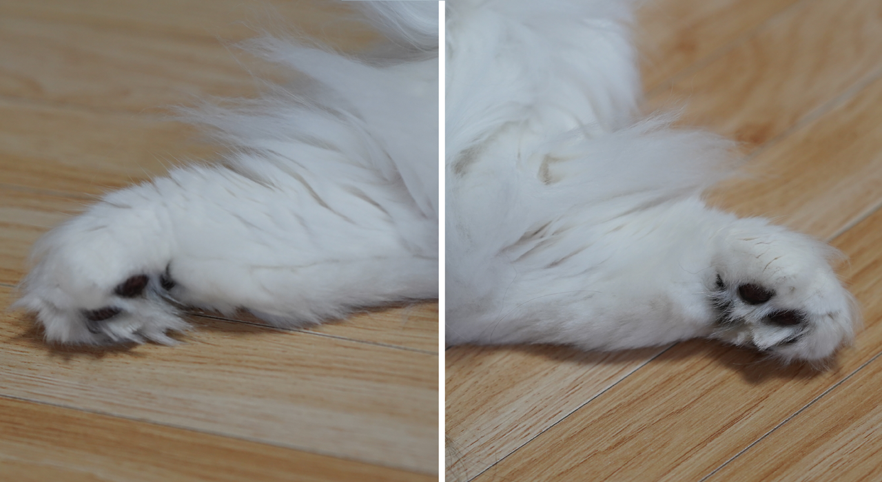 f:id:kazuhiro0214:20190910080652p:plain