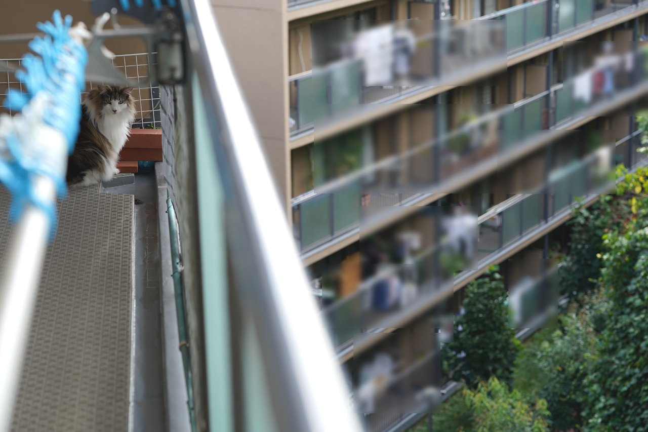 f:id:kazuhiro0214:20190914092910p:plain