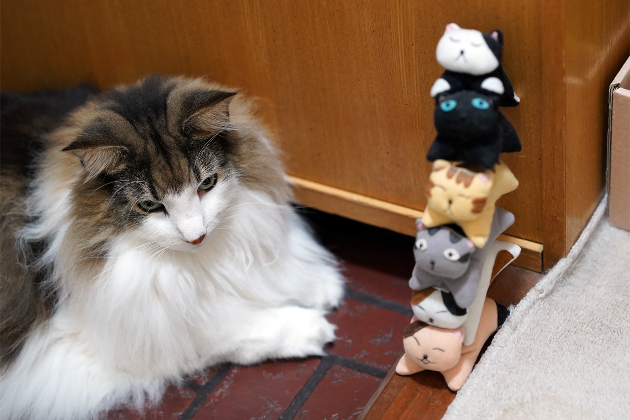 f:id:kazuhiro0214:20190925080930p:plain f:id:kazuhiro0214:20190925080930p:plain
