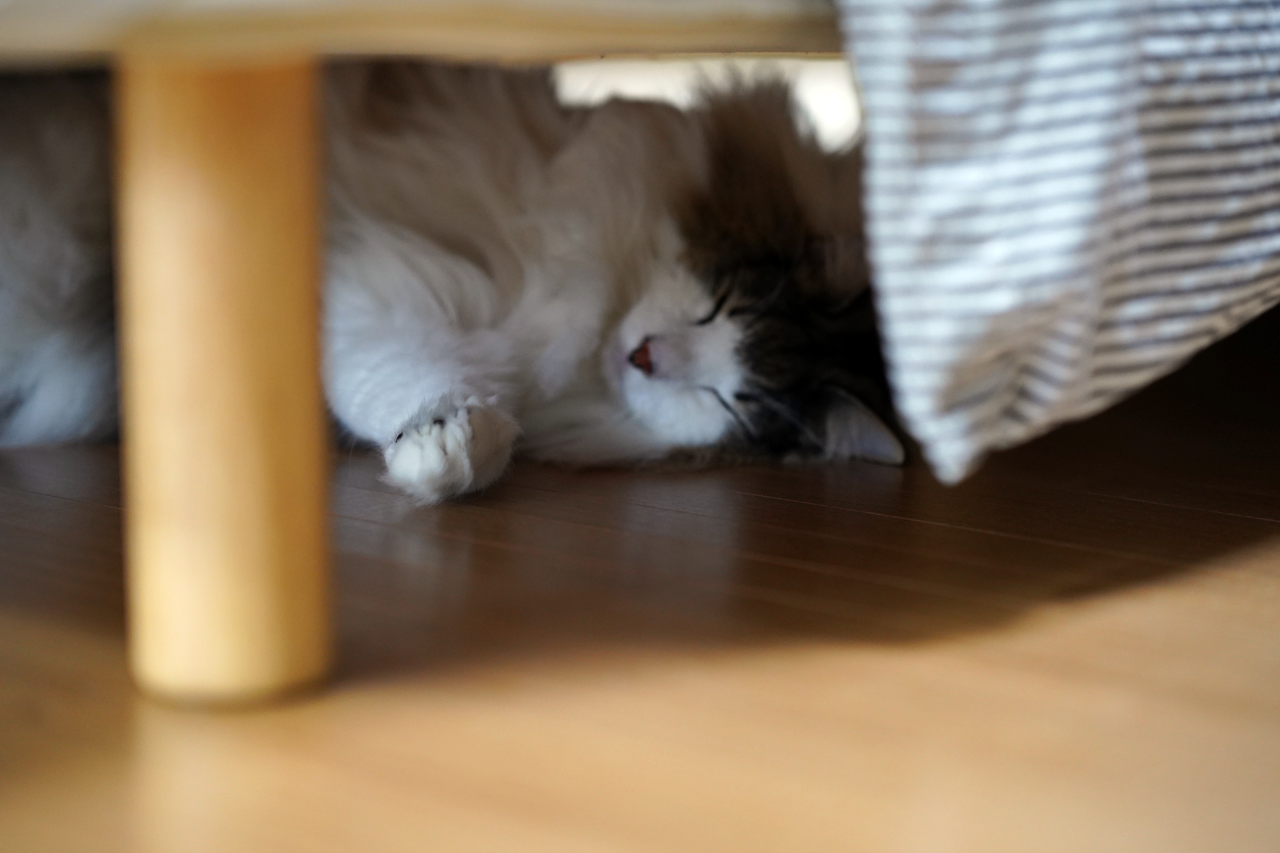 f:id:kazuhiro0214:20191008080355p:plain