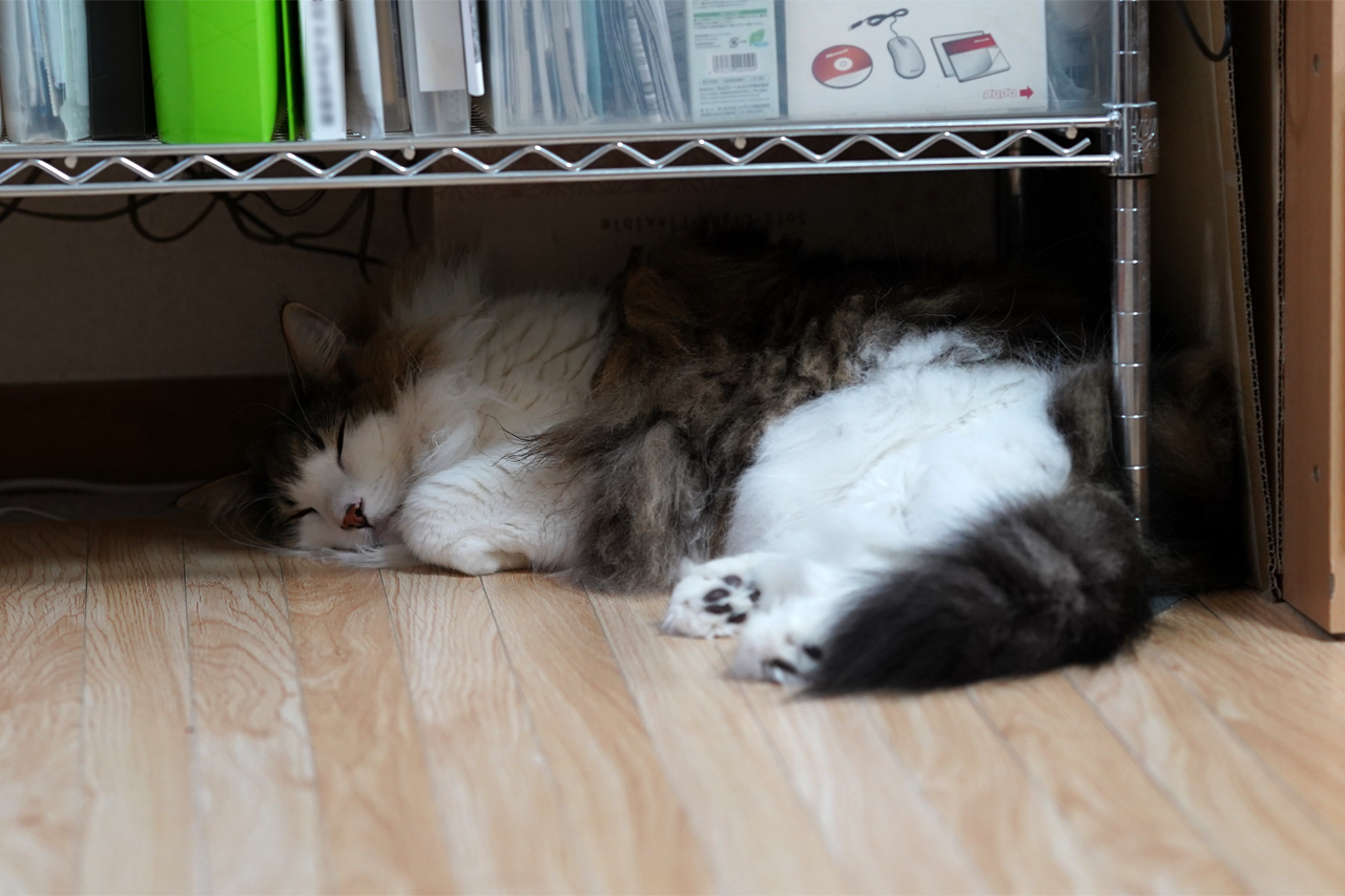 f:id:kazuhiro0214:20191008080506p:plain