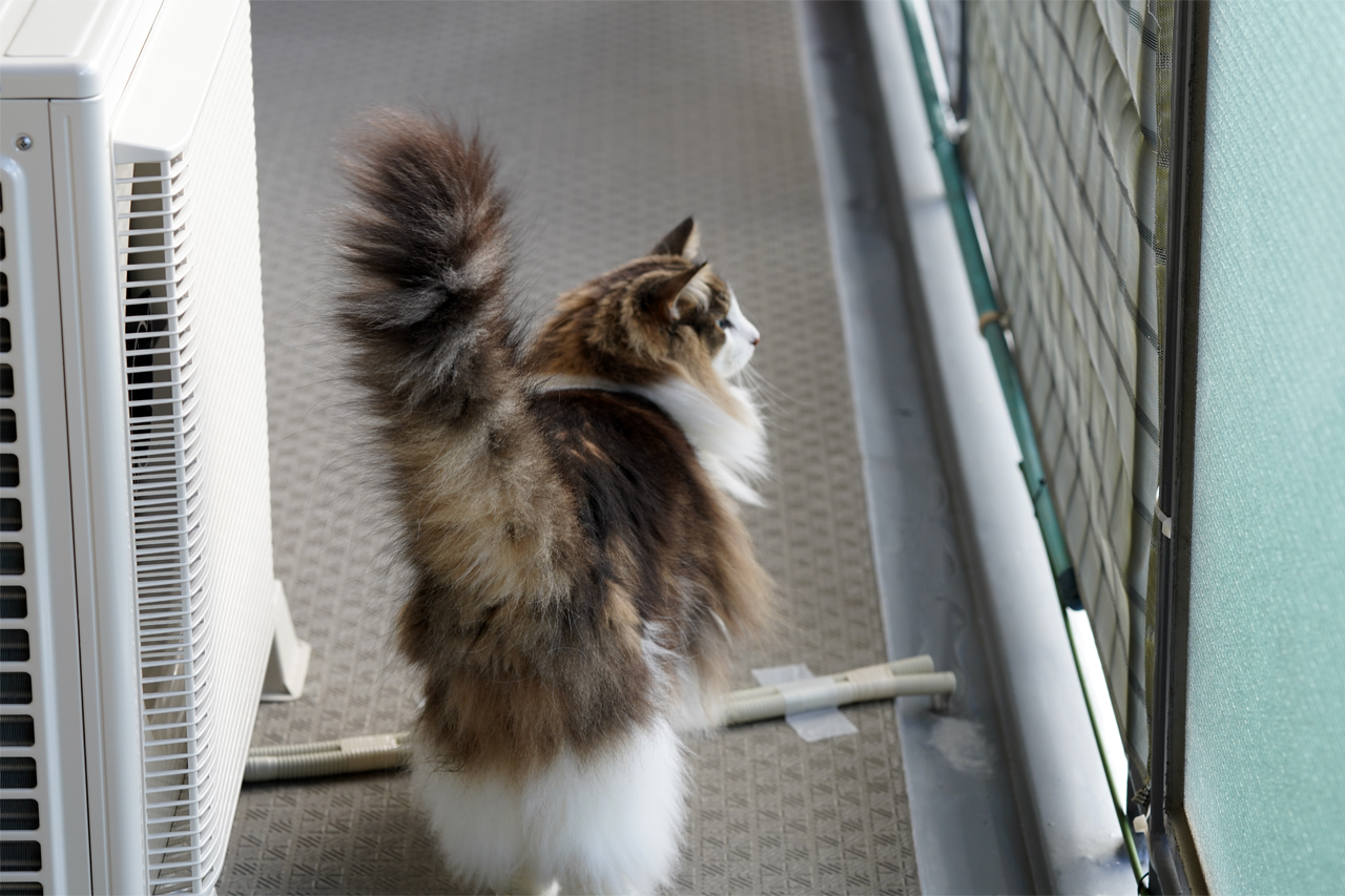 f:id:kazuhiro0214:20191016064655p:plain