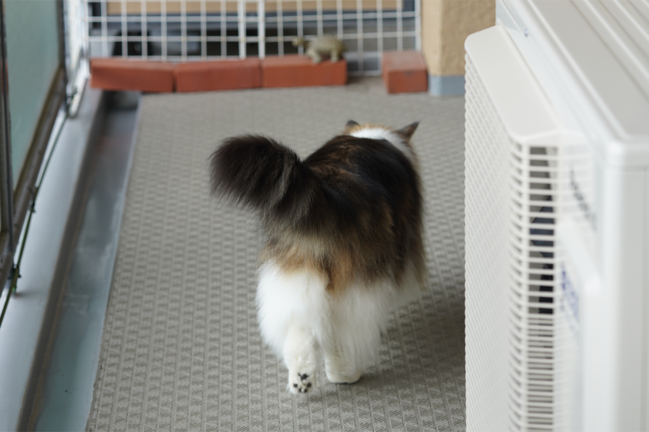 f:id:kazuhiro0214:20191022084234p:plain f:id:kazuhiro0214:20191022084234p:plain