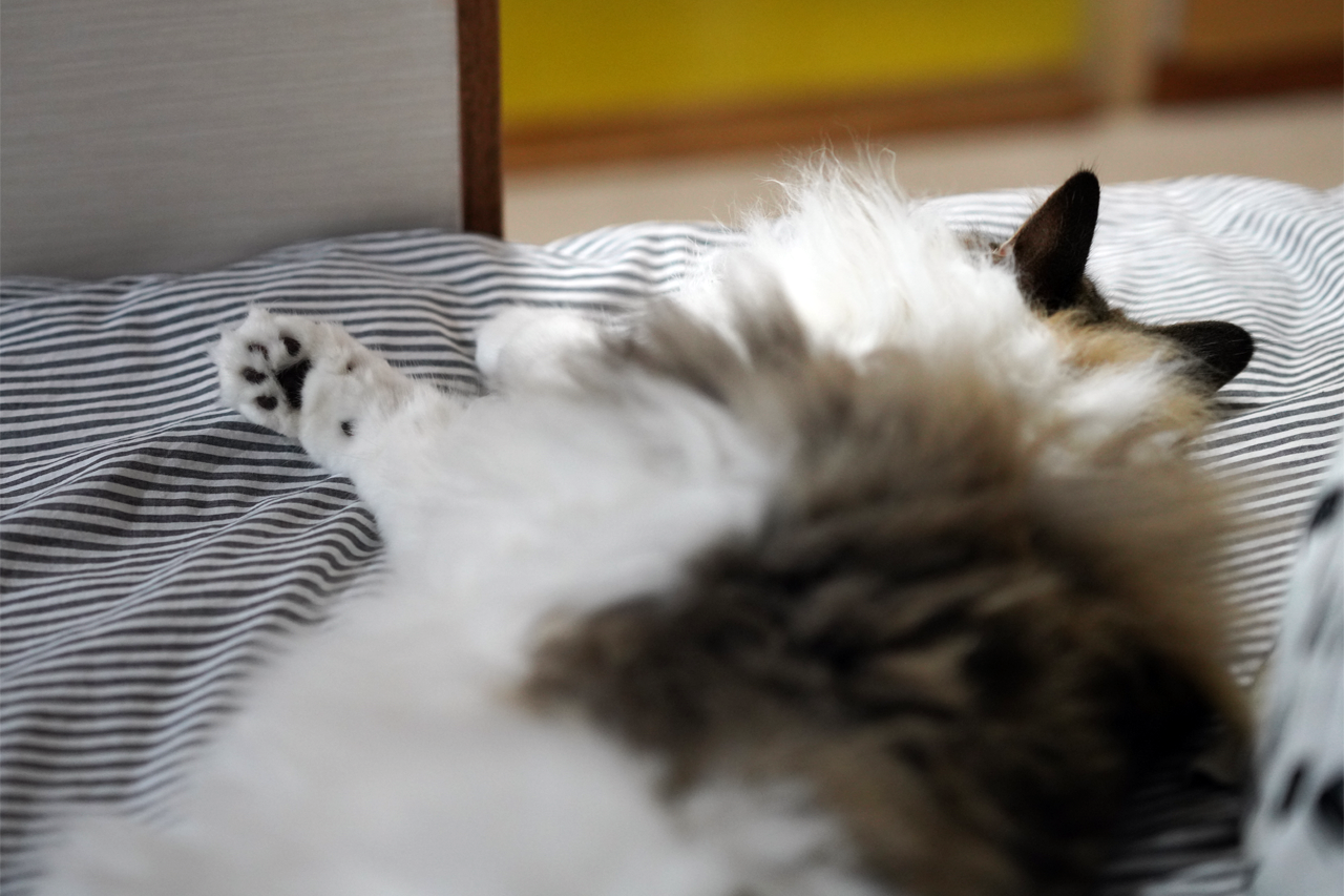 f:id:kazuhiro0214:20191024092804p:plain