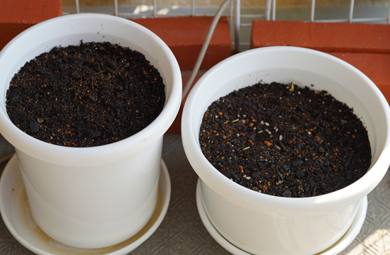 f:id:kazuhiro0214:20191031125822j:plain f:id:kazuhiro0214:20191031125822j:plain