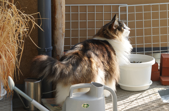 f:id:kazuhiro0214:20191031125841j:plain f:id:kazuhiro0214:20191031125841j:plain