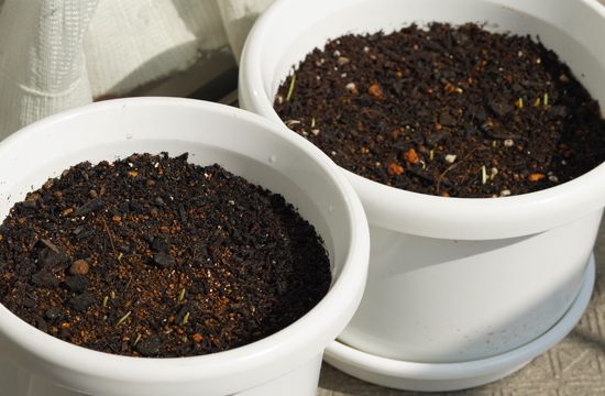 f:id:kazuhiro0214:20191031125949j:plain f:id:kazuhiro0214:20191031125949j:plain