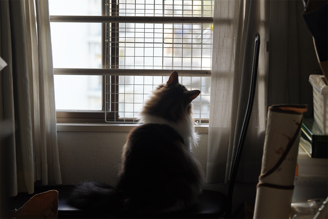 f:id:kazuhiro0214:20191101094901p:plain