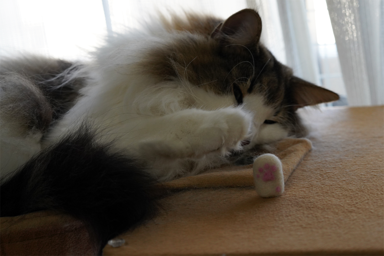 f:id:kazuhiro0214:20191106091457p:plain