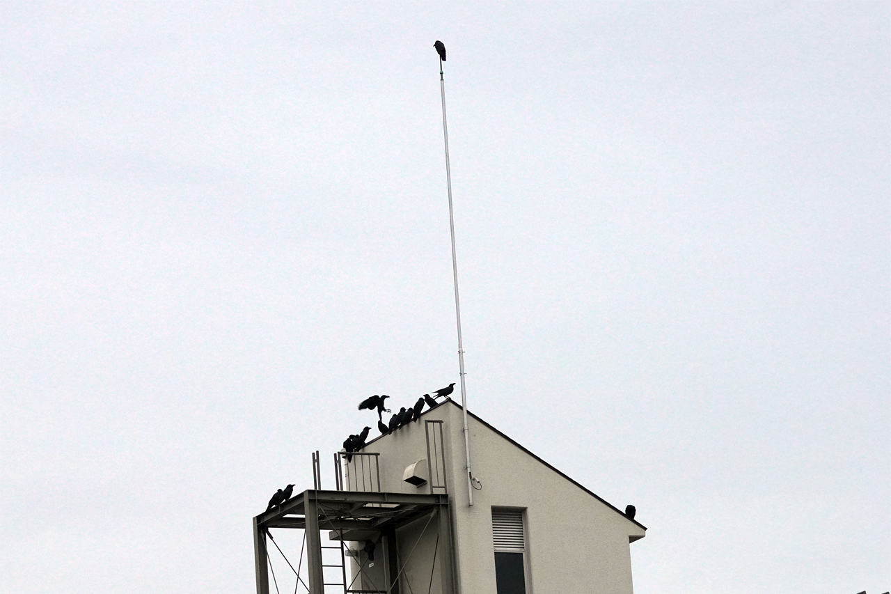 f:id:kazuhiro0214:20191124100132p:plain