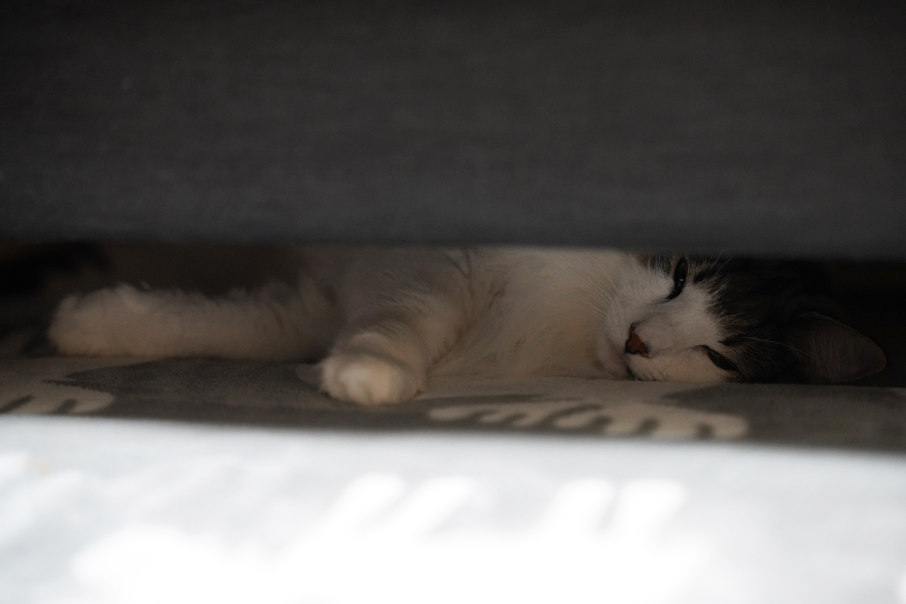 f:id:kazuhiro0214:20191204080649p:plain