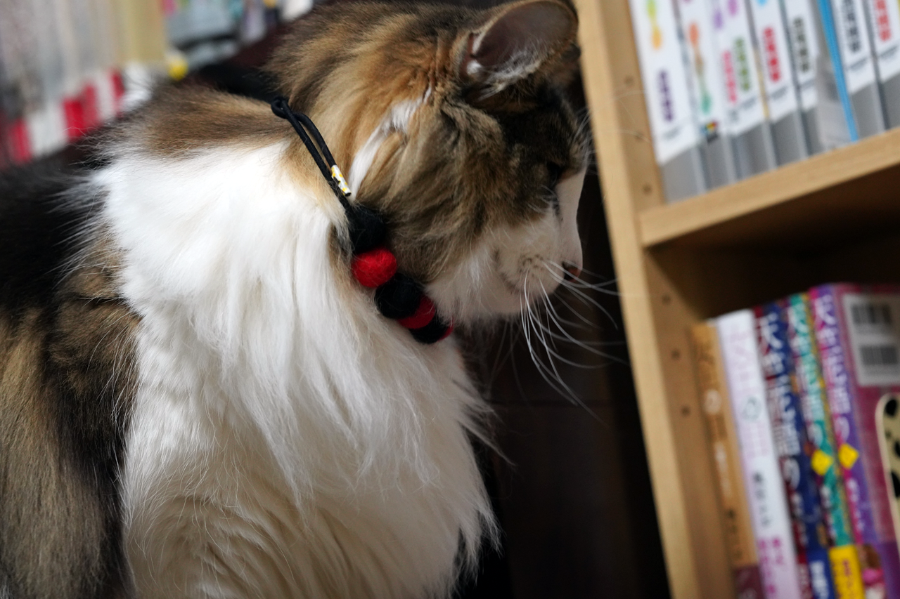 f:id:kazuhiro0214:20200103075947p:plain