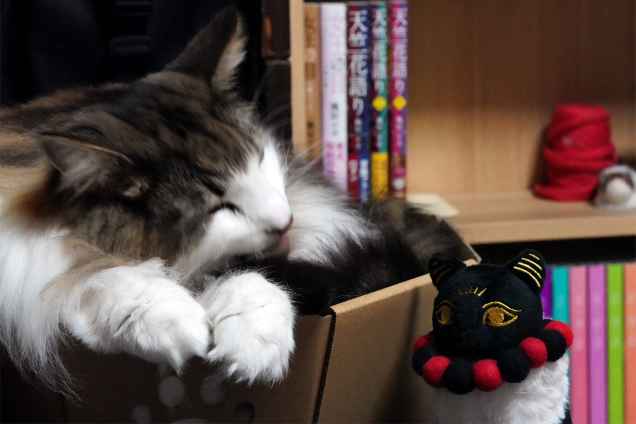 f:id:kazuhiro0214:20200103080004p:plain