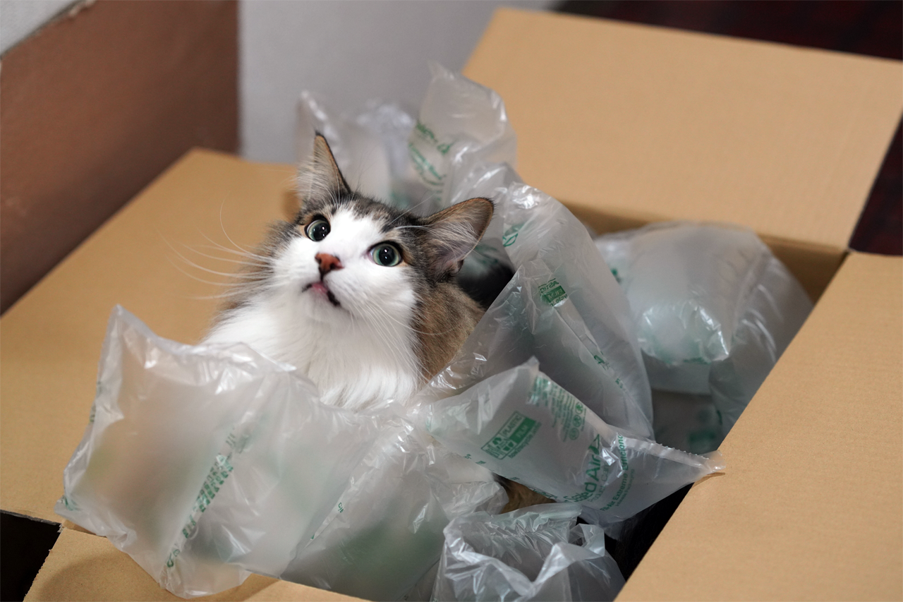 f:id:kazuhiro0214:20200107080658p:plain