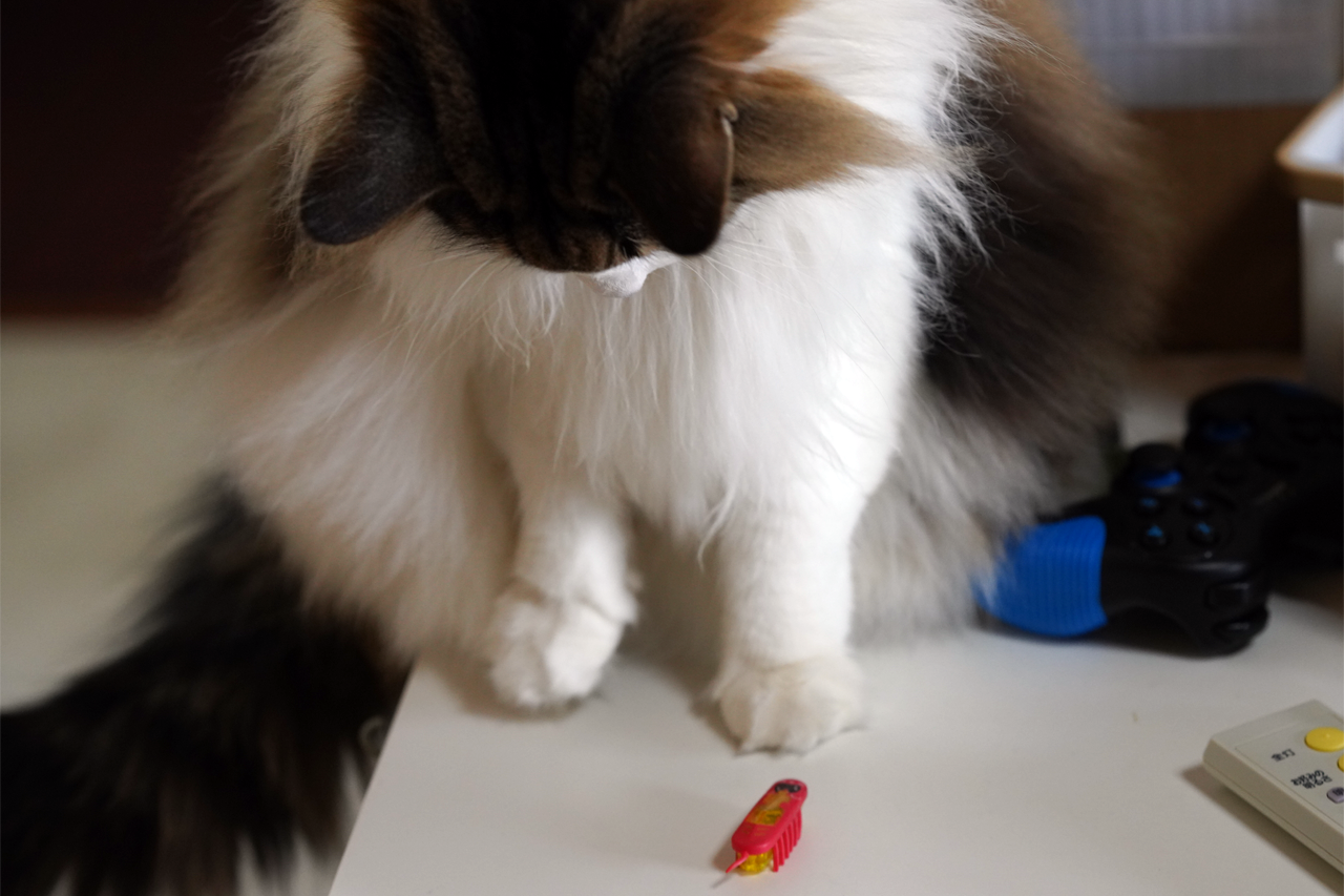 f:id:kazuhiro0214:20200107080731p:plain