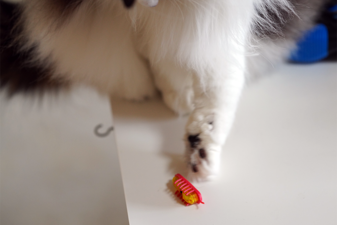 f:id:kazuhiro0214:20200107080751p:plain