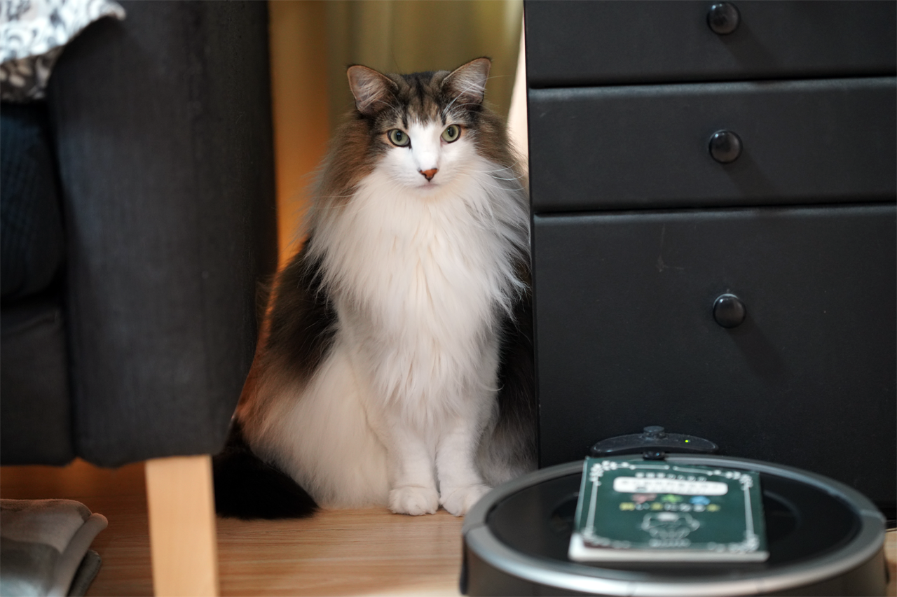 f:id:kazuhiro0214:20200111151312p:plain f:id:kazuhiro0214:20200111151312p:plain