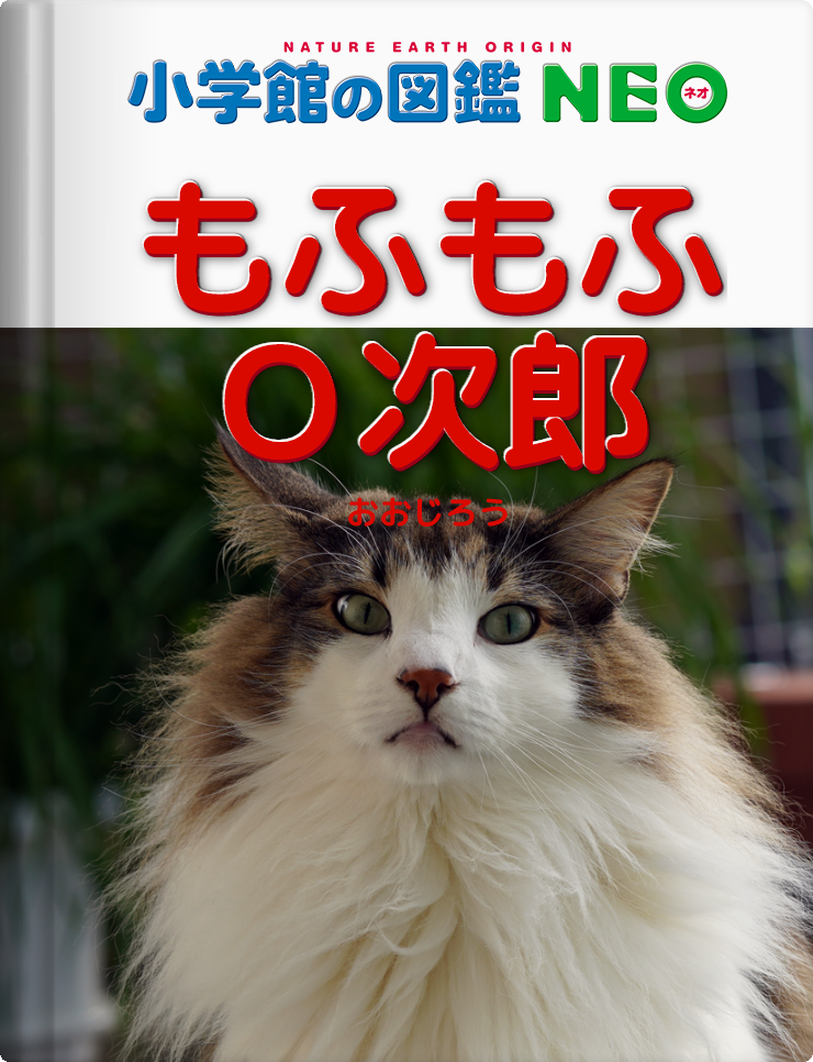 f:id:kazuhiro0214:20200112163036p:plain